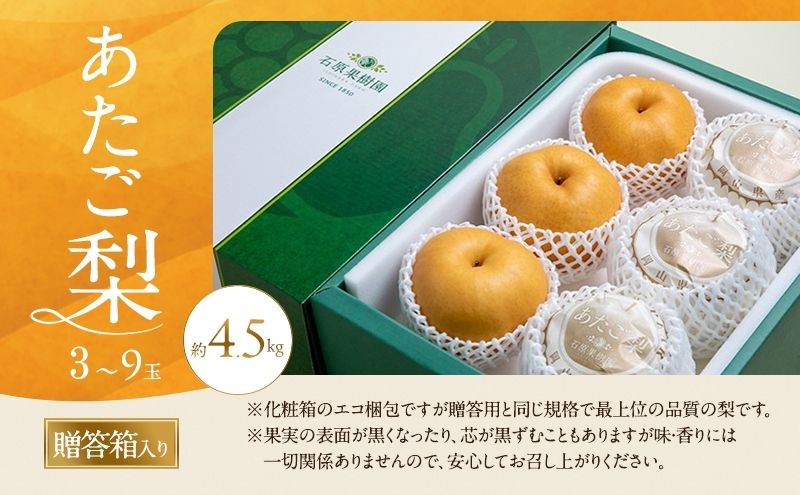 梚 2026幎 å
è¡äºçŽ ãããæ¢š 3ïœ9ç åèšçŽ4.5kg èŽçç®±ã11æäžæ¬ïœ12æäžæ¬é çºéã ãã· ãªã 岡山çç£ åœç£ ãã«ãŒã æç© ã®ãã ç³åææš¹å æå®æ¢š æ¥æ¬äžå€§ããªæ¢š