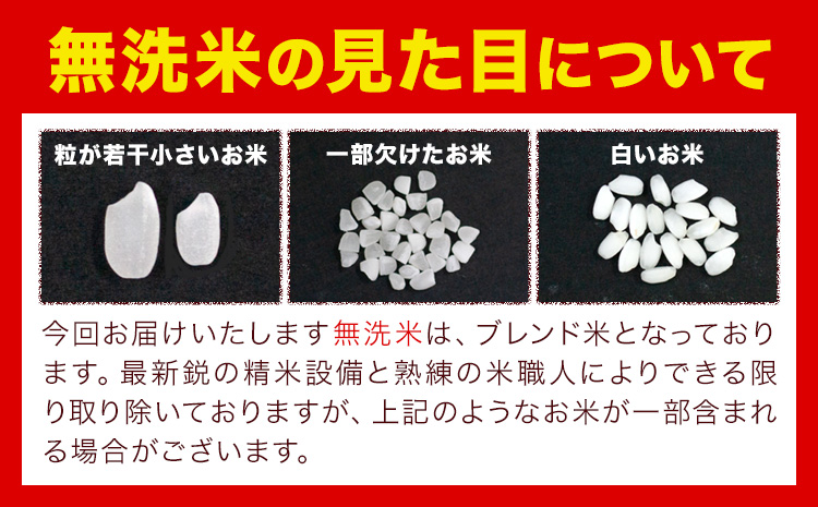無洗米 米 使い切り パック メール便 2合 (300g) 晴れの国おかやま無洗米《30日以内に出荷予定(土日祝除く)》岡山県 笠岡市 送料無料 岡山県産 米 ふるさと納税 わけあり 以上のお米ならこれ お米 おこめ 岡山 むせんまい kome
