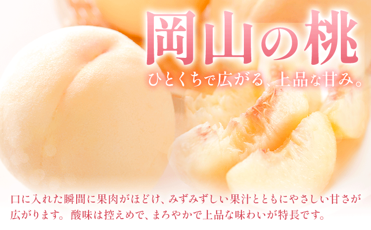 【定期便】旬のフルーツ定期便 岡山のﾌﾙｰﾂ 定期便 Bコース 4回定期便 岡山県産 桃 シャインマスカット ニューピオーネ 梨 《7月上旬-12月末頃出荷》岡山県 笠岡市 フルーツ 旬 果物 ぶどう 梨 マスカット お取り寄せ