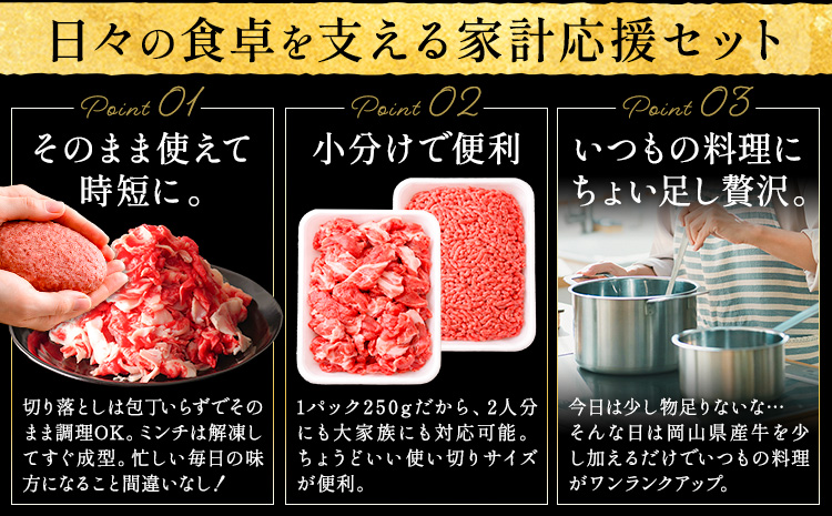 【6ヶ月定期便】牛肉 国産 切り落とし ミンチ セット 家計応援 岡山県産牛 2kg×6回 1パック250g《お申し込み月の翌月から出荷開始》岡山県 笠岡市 肉 ひき肉 グルメ お取り寄せグルメ