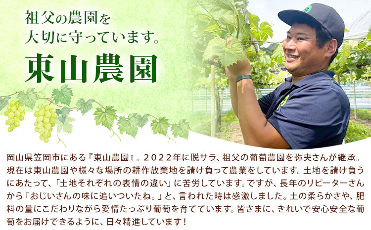 譚ア螻ア繝ッ繧、繝ウ2025 750ml 阯、遞 繝斐が繝シ繝 2譛ャ繧サ繝繝 譚ア螻ア霎イ蝨偵30譌・莉・蜀縺ォ蜃コ闕キ莠亥ョ(蝨滓律逾晞勁縺)縲 蟯。螻ア逵 隨蟯。蟶 繝悶ラ繧ヲ 闡。關 繧ョ繝輔ヨ 縺雁叙繧雁ッ縺 騾∵侭辟。譁