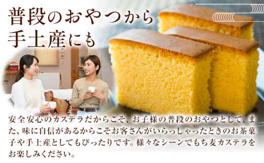 もち麦カステラ 1本 株式会社玉利軒《30日以内に出荷予定(土日祝除く)》岡山県 笠岡市 カステラ もち麦 お土産 和菓子 手土産 送料無料 冷蔵配送