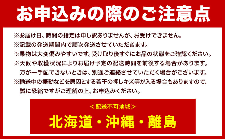 ぶどう オーロラブラック フルーツ 2房 (1房480g以上) 化粧箱入り 株式会社山博《2026年8月下旬-9月下旬頃出荷》岡山県 笠岡市 送料無料 ブドウ 大粒 種なし 種無 贈答 果物 旬 国産 岡山県産【配送不可地域あり】
