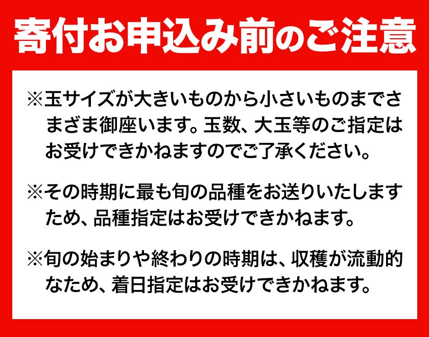 フルーツ 厳選 晴れの国定期便 シャインマスカット 3kg 白桃 2kg 2回 お届け 定期便 《ページ内記載の時期に発送》 果物 マスカット 桃 岡山県 笠岡市---kasaoka_zsytei_360_matu2---