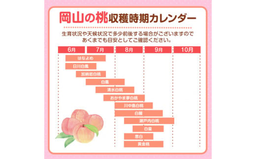 桃 岡山の桃 約4kg《6月下旬-9月上旬頃発送》岡山県 笠岡市 白桃 岡山 はくとう スイーツ フルーツ 果物 デザート 旬 モモ もも 送料無料 果物 清水白桃 白鳳 白麗 クール便