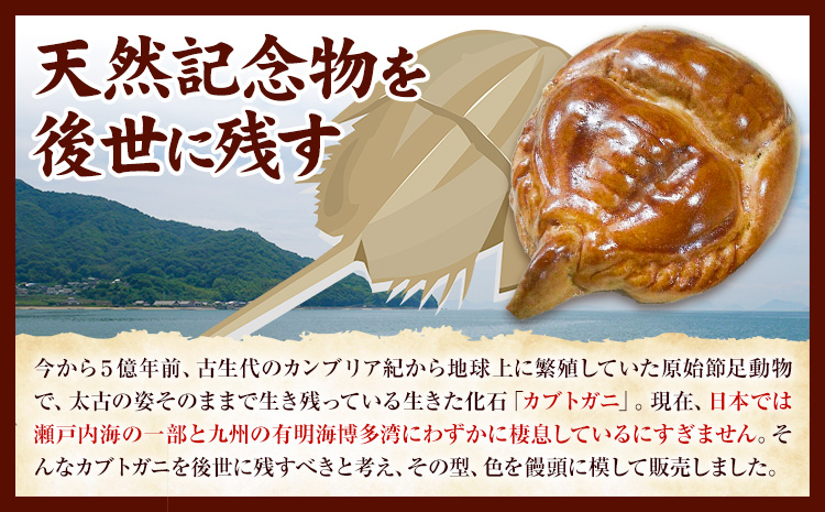 かぶとがにまんじゅう 小 30個 株式会社玉利軒《30日以内に出荷予定(土日祝除く)》岡山県 笠岡市 まんじゅう 饅頭 お土産 和菓子 手土産 送料無料