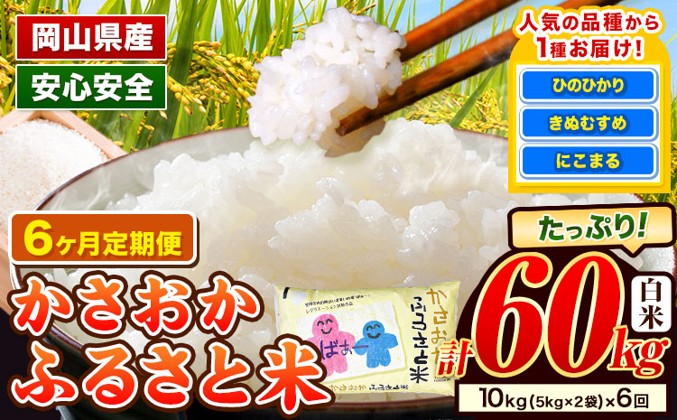 【令和8年2月～令和8年7月発送】米 お米 令和7年産 備中笠岡ふるさと米【6ヶ月定期便】10kg × 6ヶ月【先行受付】 国産 ヒノヒカリ にこまる きぬむすめ 単一原料米 検査済み 国産 ブランド米 お取り寄せ 送料無料 岡山県産