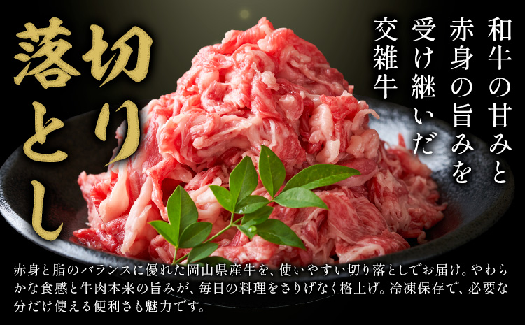 【12ヶ月定期便】岡山県産牛 切り落とし 交雑牛 1kg お試し 大容量《お申込み月の翌月から出荷開始》 岡山県 笠岡市 肉 送料無料