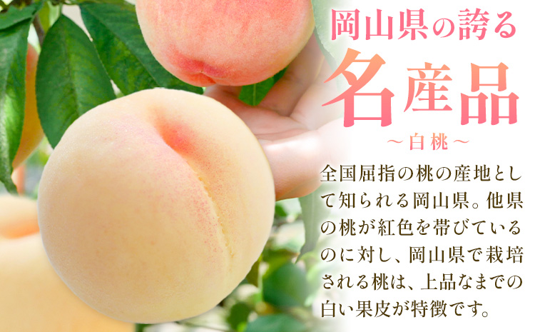 【2026年発送先行予約】桃 3ヶ月 計10回 定期便 岡山 の 桃 十撰 10種 各1kg 計10kg 晴れの国おかやま館(漂流岡山)《2026年7月中旬-9月下旬頃出荷》岡山県 笠岡市 桃 もも 果物 フルーツ デザート 送料無料 【配送不可地域あり】（離島）