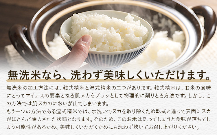 無洗米 米 使い切り パック メール便 2合 (300g) 晴れの国おかやま無洗米《30日以内に出荷予定(土日祝除く)》岡山県 笠岡市 送料無料 岡山県産 米 ふるさと納税 わけあり 以上のお米ならこれ お米 おこめ 岡山 むせんまい kome