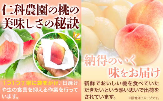 ãå
è¡äºçŽãã6æäžæ¬-7æäžæ¬é åºè·ãæ¡ æ©çåçš® 2kg ãã 岡山 ã¯ãªãã çœå·çœé³³ 岡山ç ç¬ å²¡åž éæç¡æ æç© ãã«ãŒã ãåãå¯ã