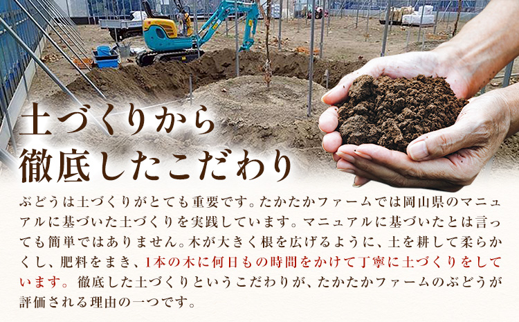 縺カ縺ゥ縺 繧キ繝」繧、繝ウ繝槭せ繧ォ繝繝 繝槭せ繧ォ繝繝 4謌ソ 2kg 縲9譛井ク頑流-9譛井ク区流鬆蜃コ闕キ縲 縺溘°縺溘°繝輔ぃ繝シ繝 繝悶ラ繧ヲ 闡。關 繝槭せ繧ォ繝繝 譫懃黄 繝輔Ν繝シ繝 繧ョ繝輔ヨ 蟯。螻ア逵 隨蟯。蟶