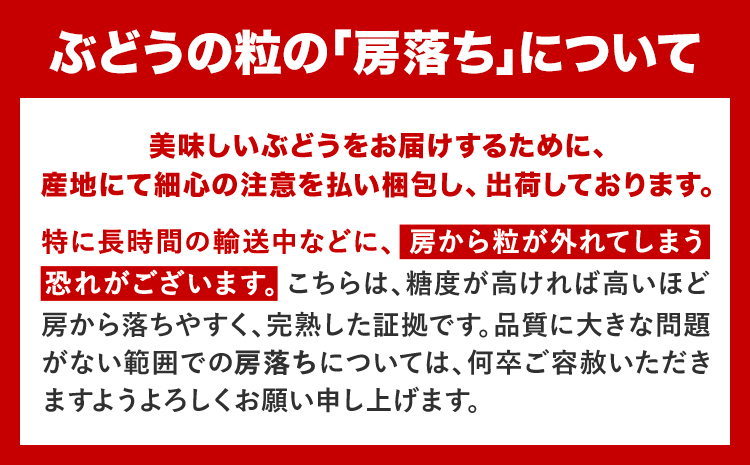 【定期便】旬のフルーツ定期便 岡山のﾌﾙｰﾂ 定期便 Bコース 3回定期便 岡山県産 桃 シャインマスカット ニューピオーネ 梨 《7月上旬-10月末頃出荷》岡山県 笠岡市 フルーツ 旬 果物 ぶどう 梨 マスカット お取り寄せ