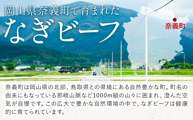 奈義和牛 肩ロース バイヤーおすすめ！ すき焼き用 450g 株式会社 天満屋《30日以内に出荷予定(土日祝除く)》岡山県 笠岡市 和牛 牛肉 肉 肩ロース すき焼き 送料無料