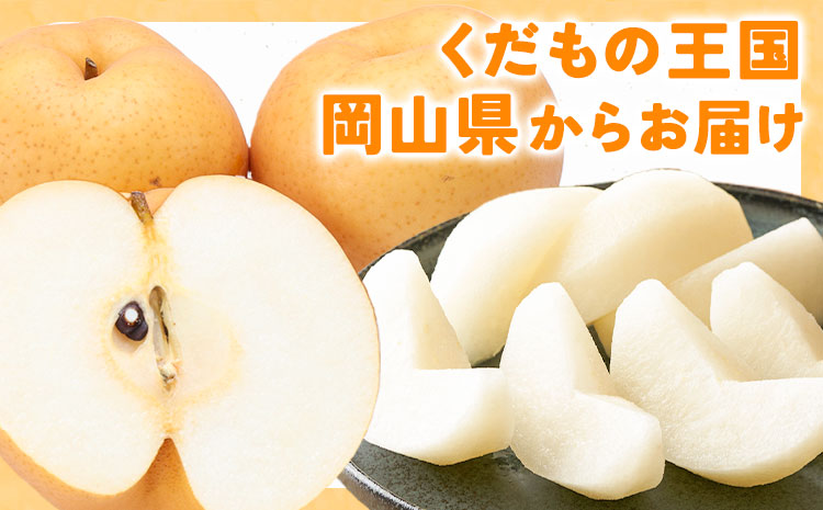 【2026年先行予約】あたご梨 約4kg (3-6玉) 化粧箱入り 株式会社山博《11月下旬-12月下旬頃出荷》岡山県 笠岡市 なし 梨 ナシ 愛宕梨 果物 大玉 岡山県産 国産 送料無料【配送不可地域あり】