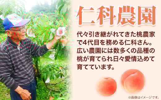 ãå
è¡äºçŽãã6æäžæ¬-7æäžæ¬é åºè·ãæ¡ æ©çåçš® 2kg ãã 岡山 ã¯ãªãã çœå·çœé³³ 岡山ç ç¬ å²¡åž éæç¡æ æç© ãã«ãŒã ãåãå¯ã