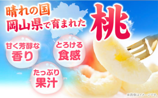 譯 蟯。螻ア縺ョ譯 邏1.3kg 縲2026蟷エ6譛井ク区流-9譛井ク頑流鬆蜃コ闕キ縲 縺泌ョカ蠎ュ逕ィ 險ウ縺ゅj 逋ス譯 蟯。螻ア 譌ャ 繝「繝「 繧ゅb 蜈郁。御コ育エ 騾∵侭辟。譁 譫懃黄 蟯。螻ア逵 隨蟯。蟶 貂豌エ逋ス譯 逋ス魑ウ 逋ス鮗 繧ッ繝シ繝ォ萓ソ