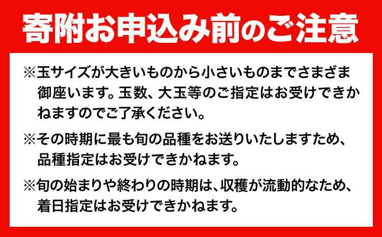 【定期便】旬のフルーツ定期便 岡山のﾌﾙｰﾂ 定期便 Bコース 4回定期便 岡山県産 桃 シャインマスカット ニューピオーネ 梨 《7月上旬-12月末頃出荷》岡山県 笠岡市 フルーツ 旬 果物 ぶどう 梨 マスカット お取り寄せ