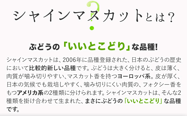 遘蜩 繧キ繝」繧、繝ウ繝槭せ繧ォ繝繝 蟯。螻ア 遘区流 謨ー驥城剞螳 螟ァ邊 邏1.2kg 2謌ソ 逕」蝨ー逶エ騾 闡。關 譫懃黄 遘蜩 繧ケ繧、繝シ繝 繝輔Ν繝シ繝 繝繧カ繝シ繝 蟯。螻ア逵 隨蟯。蟶 邁。譏灘桁陬 縲9譛井ク頑流窶11譛井ク頑流鬆蜃コ闕キ縲