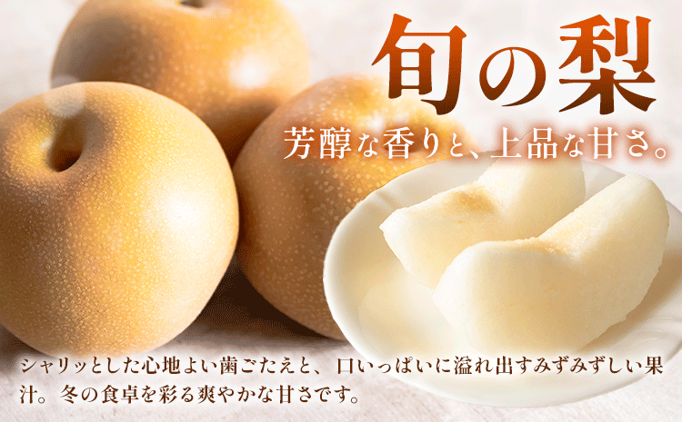 【定期便】旬のフルーツ定期便 岡山のﾌﾙｰﾂ 定期便 Bコース 4回定期便 岡山県産 桃 シャインマスカット ニューピオーネ 梨 《7月上旬-12月末頃出荷》岡山県 笠岡市 フルーツ 旬 果物 ぶどう 梨 マスカット お取り寄せ