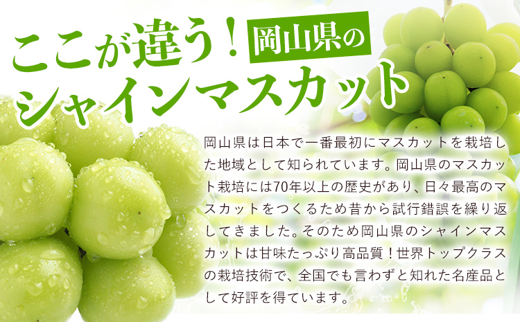 フルーツ 厳選 晴れの国定期便 シャインマスカット 3kg 白桃 2kg 2回 お届け 定期便 《ページ内記載の時期に発送》 果物 マスカット 桃 岡山県 笠岡市---kasaoka_zsytei_360_matu2---
