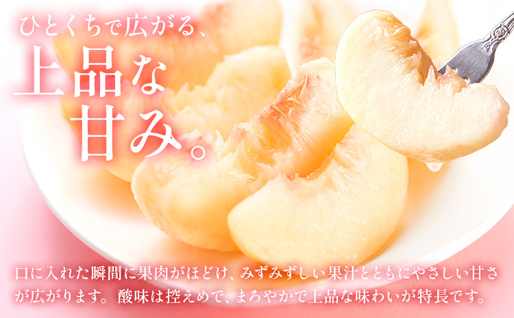 桃 岡山の桃 約4kg《6月下旬-9月上旬頃発送》岡山県 笠岡市 白桃 岡山 はくとう スイーツ フルーツ 果物 デザート 旬 モモ もも 送料無料 果物 清水白桃 白鳳 白麗 クール便