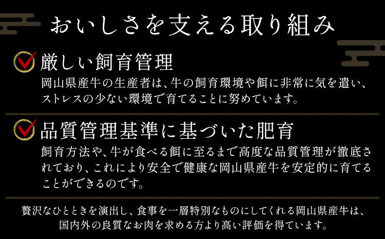 【6ヶ月定期便】牛肉 国産 切り落とし ミンチ セット 家計応援 岡山県産牛 2kg×6回 1パック250g《お申し込み月の翌月から出荷開始》岡山県 笠岡市 肉 ひき肉 グルメ お取り寄せグルメ