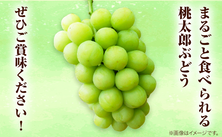 岡山çç£æ¡å€ªéã¶ã©ã 2æ¿ïŒ480g以äžïŒããŠã¹æ œå¹ å
è¡åä» ã7æäžæ¬-8æäžæ¬é åºè·ããé
éäžå¯å°åããã