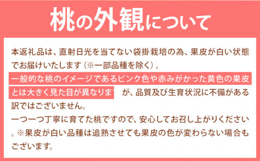 譯 蟯。螻ア縺ョ譯 邏1.3kg 縲2026蟷エ6譛井ク区流-9譛井ク頑流鬆蜃コ闕キ縲 縺泌ョカ蠎ュ逕ィ 險ウ縺ゅj 逋ス譯 蟯。螻ア 譌ャ 繝「繝「 繧ゅb 蜈郁。御コ育エ 騾∵侭辟。譁 譫懃黄 蟯。螻ア逵 隨蟯。蟶 貂豌エ逋ス譯 逋ス魑ウ 逋ス鮗 繧ッ繝シ繝ォ萓ソ