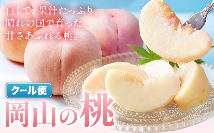 晴れの国頒布会 夏 いちおし 無洗米 10kg 白桃 1.3kg《ページ内記載の時期に発送》岡山県 笠岡市 フルーツ 旬 果物 桃 コメ お取り寄せ