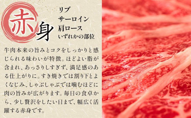 【12ヶ月定期便】岡山県産牛 スライス 赤身 500g×12回《お申し込み月の翌月から出荷開始》 岡山県 笠岡市 肉 送料無料