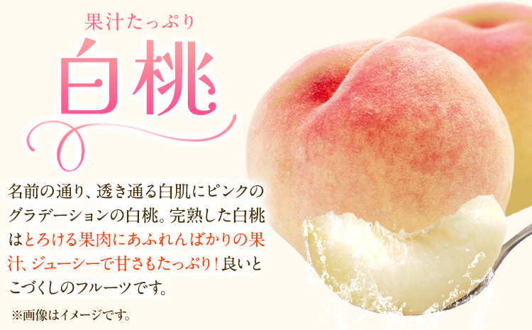 ãå
è¡äºçŽãå²¡å±±çœæ¡ & ã·ã£ã€ã³ãã¹ã«ããïŒæŽçïŒå²¡å±±çœæ¡2çïŒãã€ã€ã«260g以äžïŒã·ã£ã€ã³ãã¹ã«ãã1æ¿ïŒ580g以äžïŒæéäŒç€ŸããŒãã£ã«ã«ãã£ãŒç¥å³¶ã7æäžæ¬-8æäžæ¬é åºè·ã岡山ç ç¬ å²¡åž æ¡ çœæ¡ ãã å²¡å±±çœæ¡ ã·ã£ã€ã³ãã¹ã«ãã ãã¹ã«ãã ã¶ã©ã æŽçãé
éäžå¯å°åããã