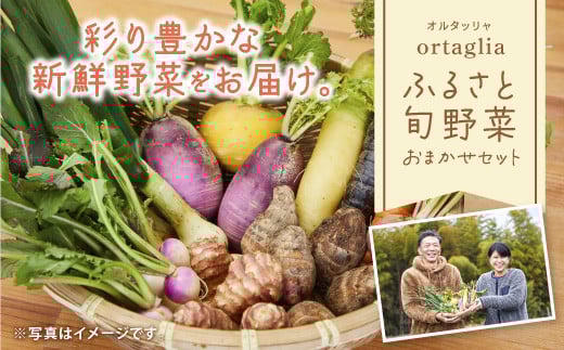 A-229 季節の旬野菜 10品 おまかせセット（農薬・化学肥料不使用）《45日以内に出荷予定(土日祝除く)》【配送不可地域あり】