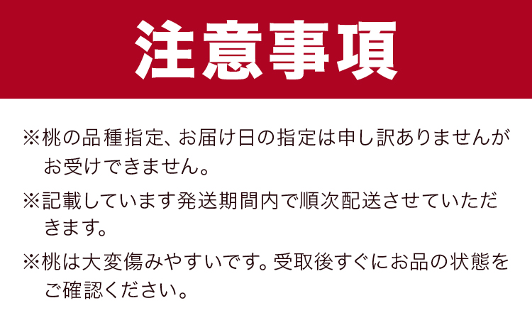 岡山白桃 5玉 (1.5kg以上) 等級ロイヤル 化粧箱入り 株式会社山博 (中本青果)《2026年7月上旬‐8月中旬頃出荷》岡山県 笠岡市 桃 もも フルーツ 旬 果物 国産 岡山県産 送料無料 冷蔵 化粧箱【配送不可地域あり】