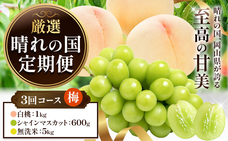 フルーツ 厳選 晴れの国定期便 シャインマスカット 600g 白桃 1kg 米 5kg 無洗米 3回 お届け 定期便 《ページ内記載の時期に発送》 果物 マスカット 桃 こめ コメ 岡山県 笠岡市