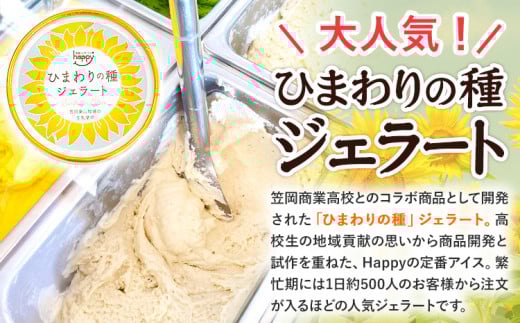 ひまわりの種ジェラート 9個セット 笠岡ジェラート工房ハッピーのカップアイス 《45日以内に出荷予定(土日祝除く)》ジェラート アイス アイスクリーム ミルク ヒマワリの種 デザート