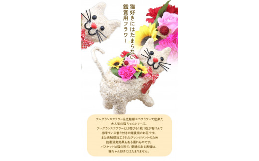 F-09 猫の散歩 光触媒エコフラワー×フレグランスフラワー フローリスト萬《30日以内に出荷予定(土日祝除く)》岡山県 笠岡市 花 贈呈品 贈り物 プレゼント インテリア