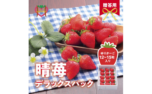 しあわせ届けるいちご農園HappyComeComeの晴苺(はれいちご)450ｇハレの日に晴苺(はれいちご)《12月中旬-3月下旬頃出荷》