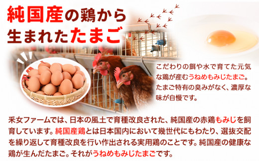 うねめもみじたまごとマヨネーズセット たまご約60個 マヨネーズ3本(250g/本) 采女ファーム 《45日以内に出荷予定(土日祝除く)》岡山県 笠岡市 たまご 卵 鶏卵 マヨネーズ セット TKG 送料無料