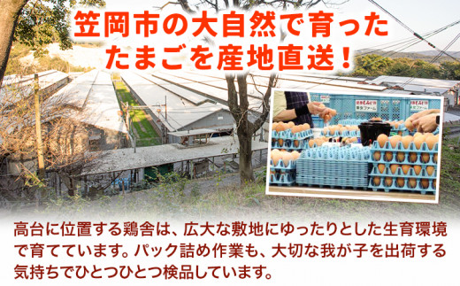 うねめもみじたまごとマヨネーズセット たまご約60個 マヨネーズ3本(250g/本) 采女ファーム 《45日以内に出荷予定(土日祝除く)》岡山県 笠岡市 たまご 卵 鶏卵 マヨネーズ セット TKG 送料無料