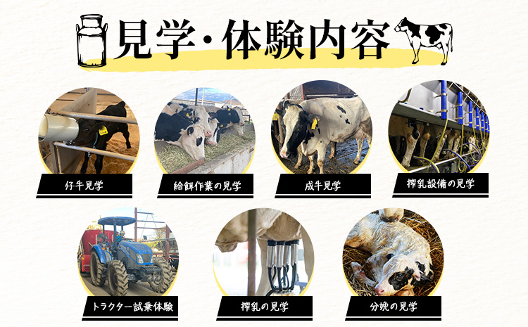 体験 牧場 食と命のつながりを感じるリアル牧場体験 ～ こはら牧場 in 笠岡湾干拓地 ～ 《30日以内に出荷予定(土日祝を除く)》株式会社こはら 岡山県 笠岡市 牛 乳牛 酪農 学習