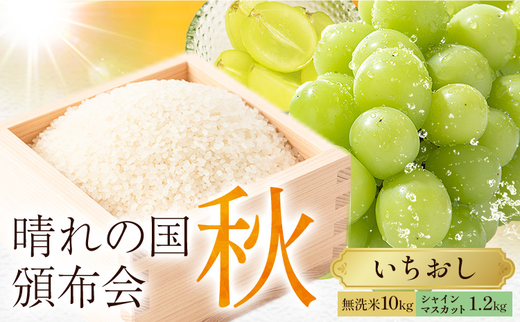 晴れの国頒布会 秋 いちおし 無洗米 10kg シャインマスカット 1.2kg[ページ内記載の時期に発送]岡山県 笠岡市 フルーツ 旬 果物 葡萄 ぶどう コメ お取り寄せ