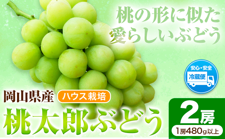 岡山県産桃太郎ぶどう  2房（480g以上）ハウス栽培  先行受付 《7月中旬-8月下旬頃出荷》【配送不可地域あり】