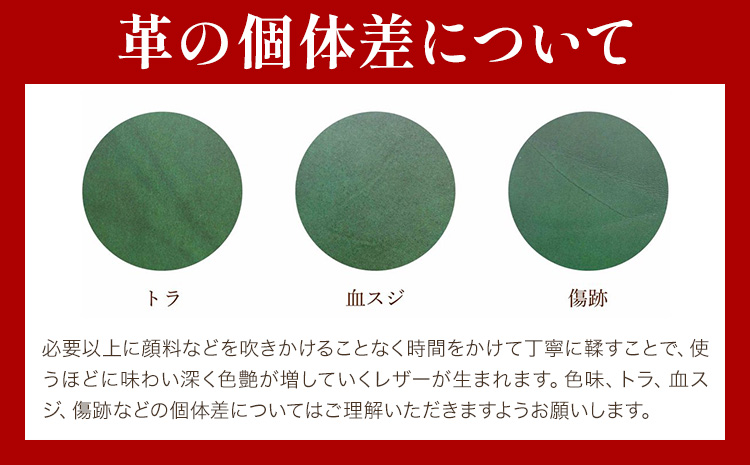 キーケース グリーン サイズ L SIRUHA 《30日以内に出荷予定(土日祝除く)》岡山県 笠岡市 鍵 ケース ブッテーロ 皮革 送料無料
