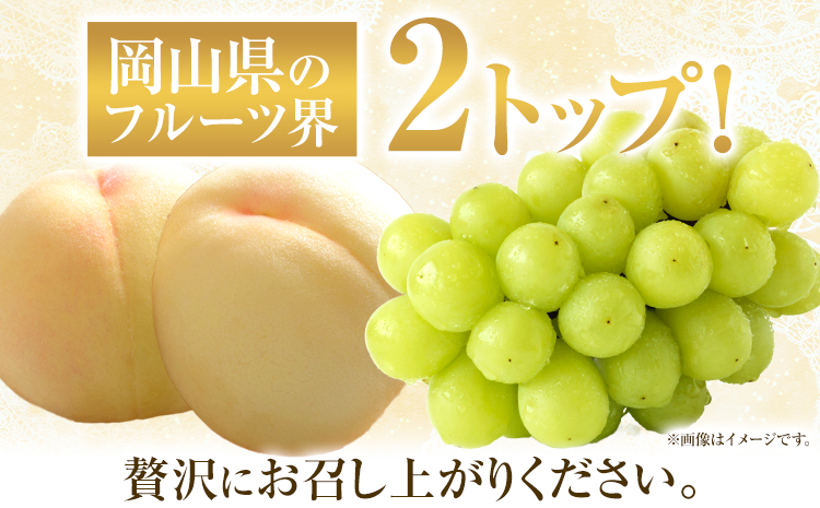 ãå
è¡äºçŽãå²¡å±±çœæ¡ & ã·ã£ã€ã³ãã¹ã«ããïŒæŽçïŒå²¡å±±çœæ¡2çïŒãã€ã€ã«220g以äžïŒã·ã£ã€ã³ãã¹ã«ãã1æ¿ïŒ380g以äžïŒæéäŒç€ŸããŒãã£ã«ã«ãã£ãŒç¥å³¶ã7æäžæ¬-8æäžæ¬é åºè·ã岡山ç ç¬ å²¡åž æ¡ çœæ¡ ãã å²¡å±±çœæ¡ ã·ã£ã€ã³ãã¹ã«ãã ãã¹ã«ãã ã¶ã©ã æŽçãé
éäžå¯å°åããã