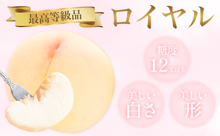 岡山白桃 5玉 (1.5kg以上) 等級ロイヤル 化粧箱入り 株式会社山博 (中本青果)《2026年7月上旬‐8月中旬頃出荷》岡山県 笠岡市 桃 もも フルーツ 旬 果物 国産 岡山県産 送料無料 冷蔵 化粧箱【配送不可地域あり】