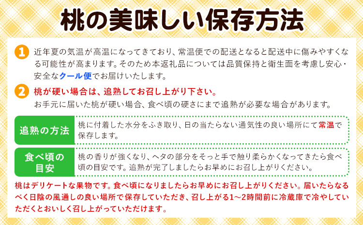 【2回定期便】桃 岡山の桃定期便 2回ｺｰｽ 岡山県産 岡山白桃 黄金桃 株式会社山博《2026年7月上旬-9月末頃出荷》岡山県 笠岡市 フルーツ 果物 白桃 もも お取り寄せ【配送不可地域あり】