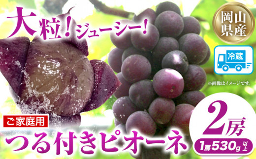 8家庭用つる付きニューピオーネ 2房(1房530g以上)【配送不可地域あり】有限会社ホーティカルチャー神島 令和8年産先行受付《2026年9月中旬-10月下旬頃出荷》岡山県 笠岡市 送料無料 葡萄 フルーツ 果物 ニューピオーネ つる付き お取り寄せフルーツ