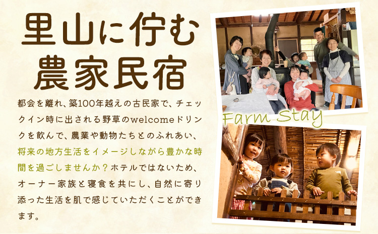 å®¿æ³ èŸ²å®¶æ°å®¿3091 宿æ³äœéš 1æ³2é£ ã30æ¥ä»¥å
ã«åºè·äºå®(忥ç¥ãé€ã)ãLife3091 岡山ç ç¬ å²¡åž äœéš æ°å®¿ 倿°å®¶ ãã¯ã èªç¶ åç© ãµããã ãŽã£ãŒã¬ã³