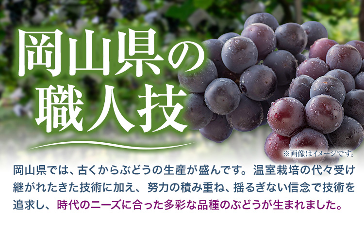 ãå
è¡äºçŽã岡山çç£ ãã¥ãŒããªãŒã 2æ¿ 480gä»¥äž ããŠã¹æ œå¹ æéäŒç€ŸããŒãã£ã«ã«ãã£ãŒç¥å³¶ã7æäžæ¬-8æäžæ¬é åºè·ã岡山ç ç¬ å²¡åž è¡è æç© å³éžåºè· ã¹ã€ãŒã ãã«ãŒã ãã¶ãŒã çš®ãªãã¶ã©ããé
éäžå¯å°åããã